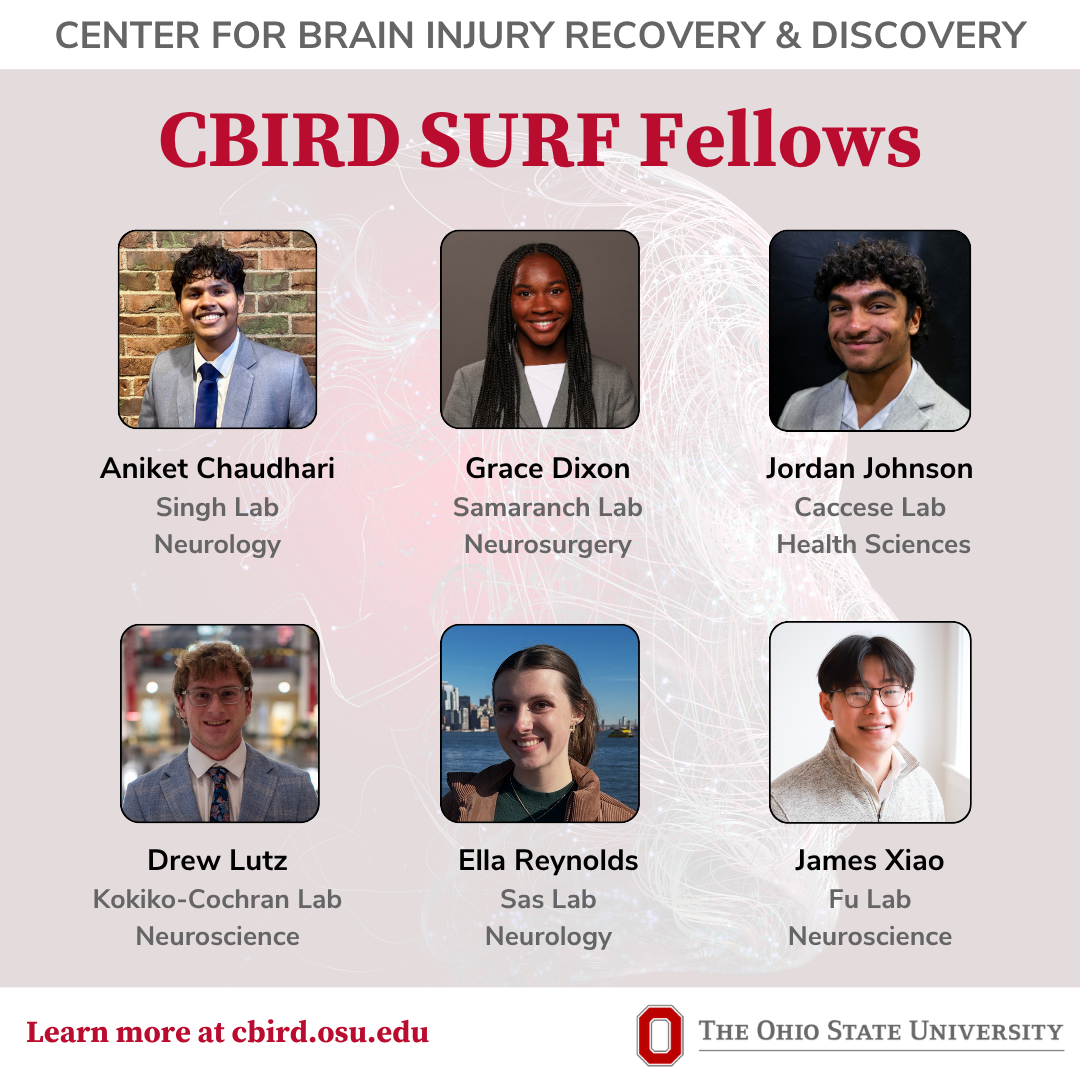 CBIRD 2026 SURF Fellows with photos, names, labs, and areas of study