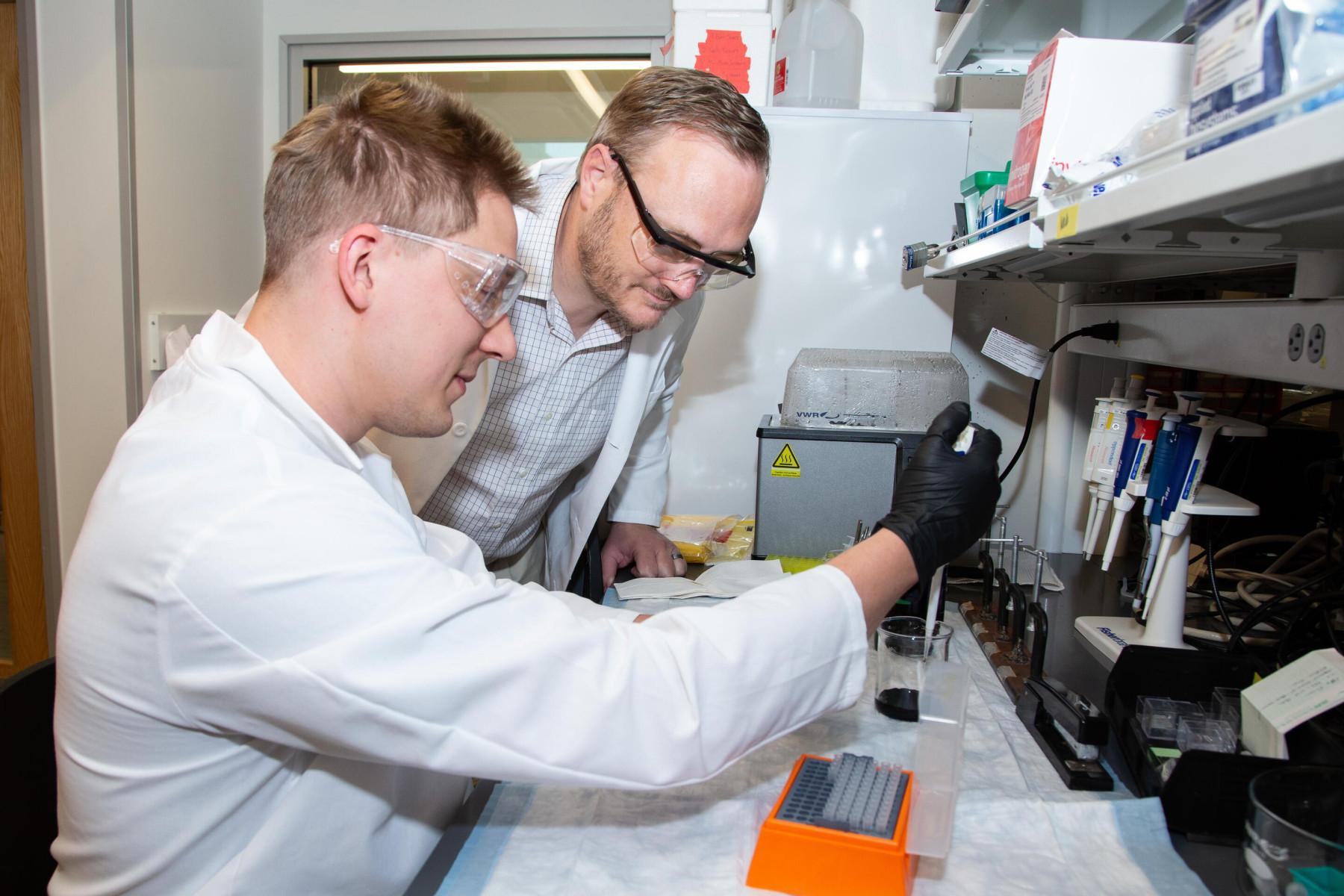 Associate Professor Matthew Reilly, right, and his team will use the novel models of traumatic optic neuropathy they developed to evaluate treatments. Here, he checks in with graduate research assistant Ryan Webb.