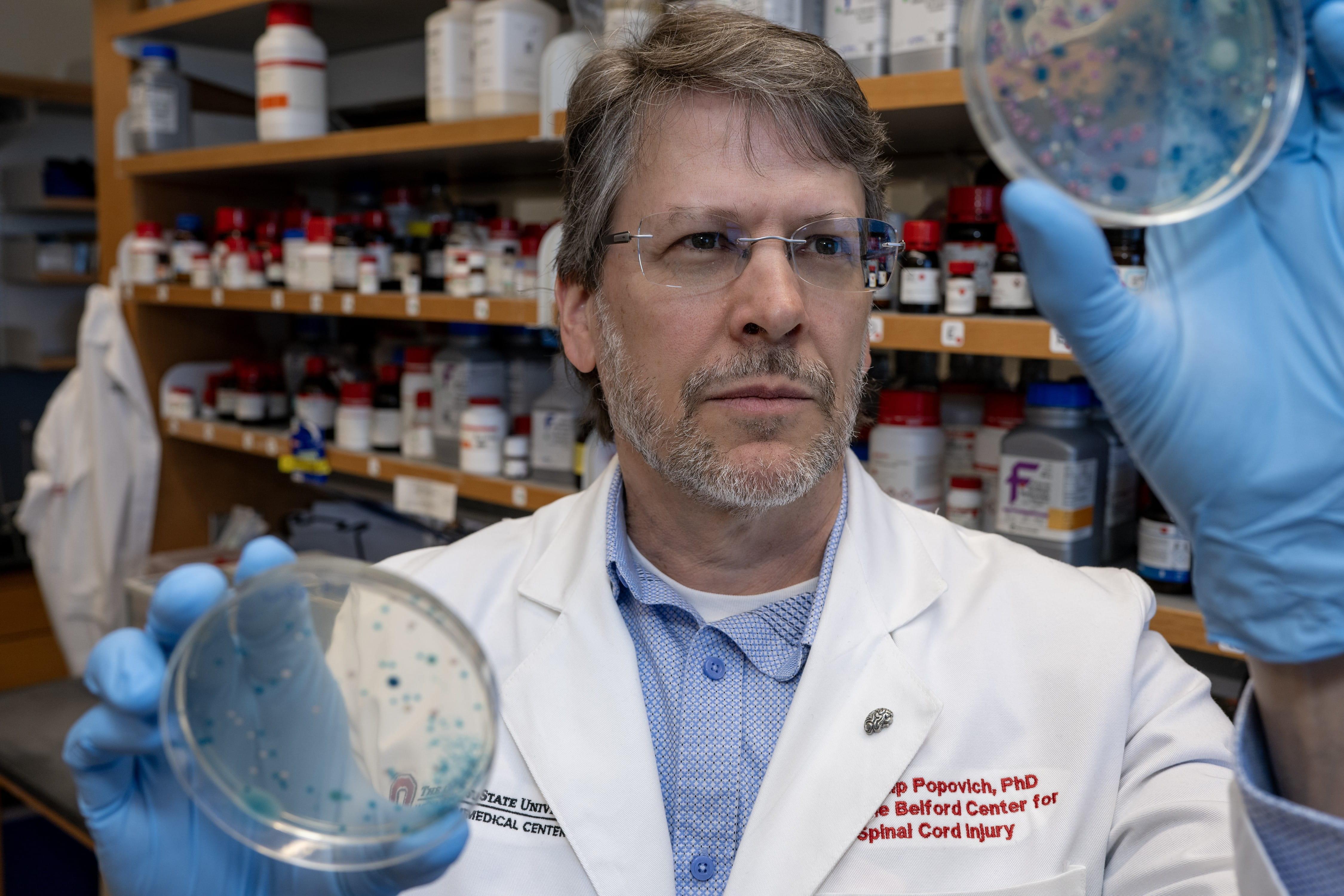 Phillip popovich lab image 