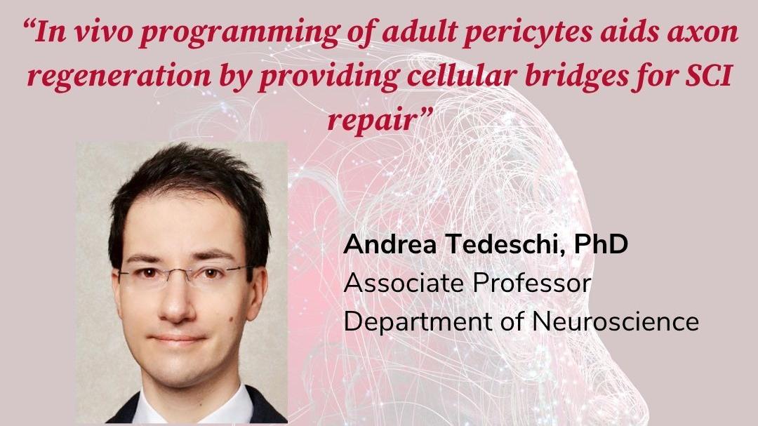 BNL: Andrea Tedeschi