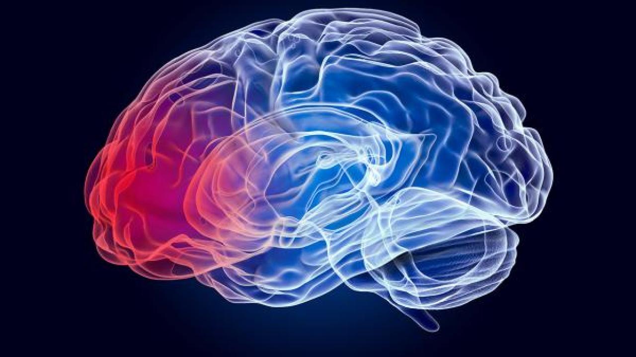 Artistic image of a blue brain with a pink spot at the front