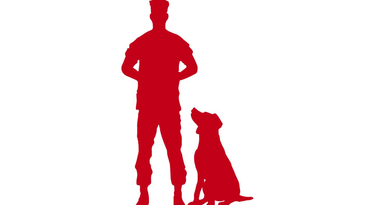 VCAS logo