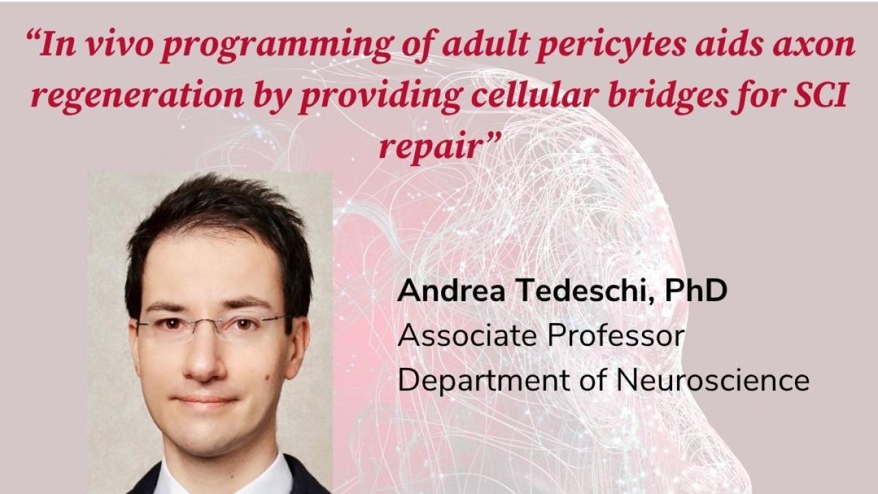 BNL Andrea Tedeschi